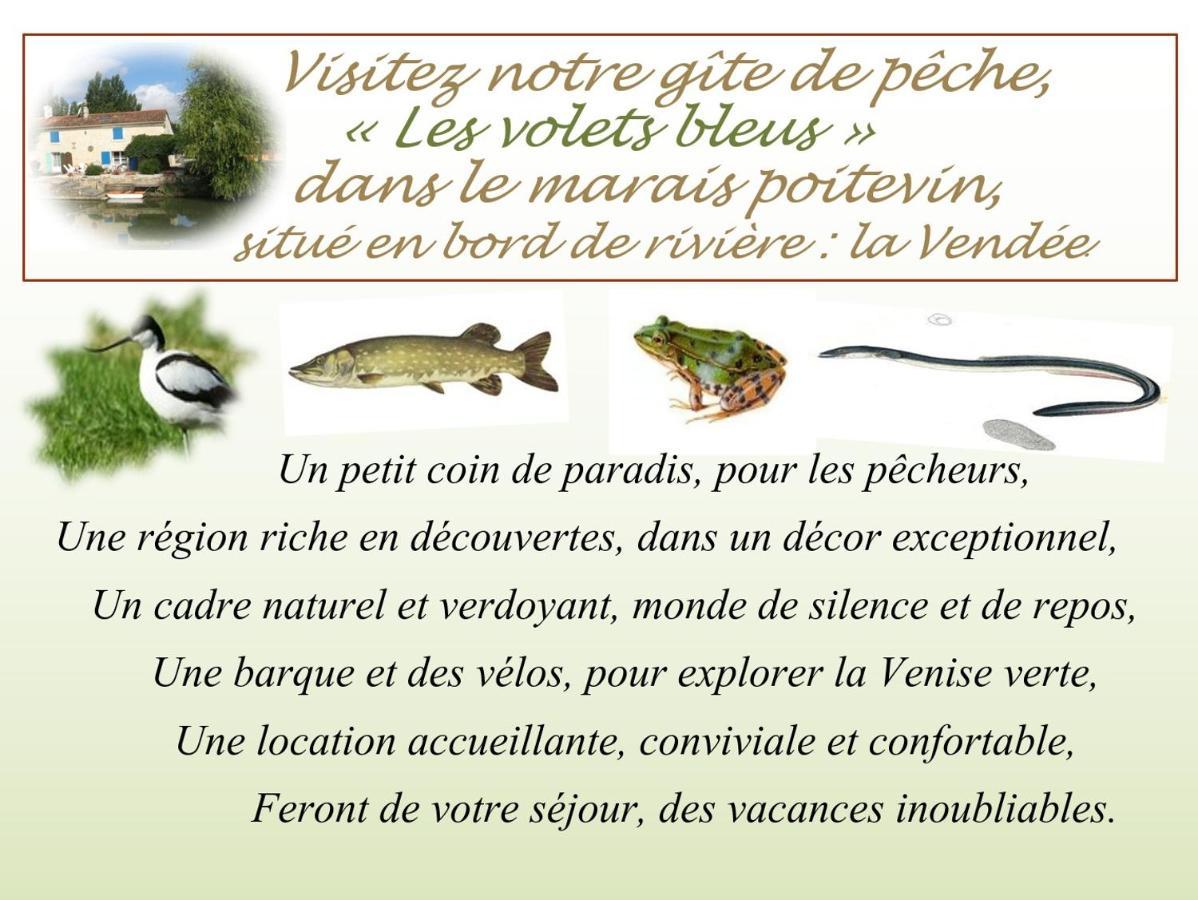 Marais Poitevin Bord Riviere Peche ,Barque, Velos, Wifi, Linge, Cheminee, Cuisine, Terrain De Boules La Taillee Dış mekan fotoğraf