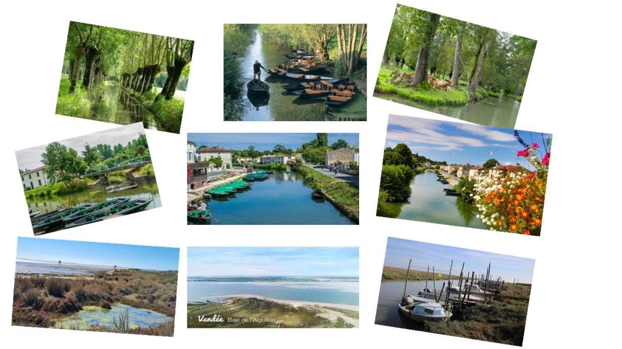 Marais Poitevin Bord Riviere Peche ,Barque, Velos, Wifi, Linge, Cheminee, Cuisine, Terrain De Boules La Taillee Dış mekan fotoğraf